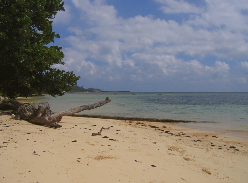 File:Anse Aux Pins Mahe 002.jpg