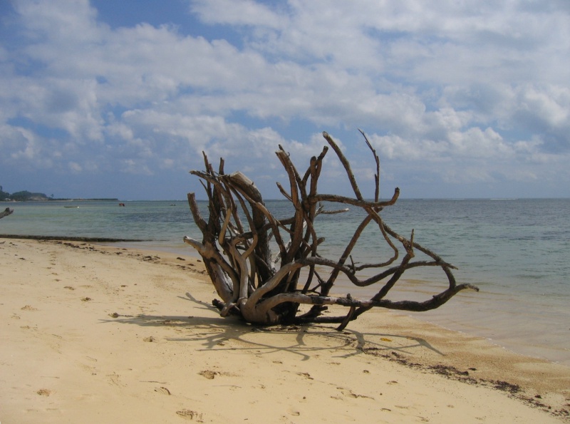 File:Anse Aux Pins Mahe 003.jpg