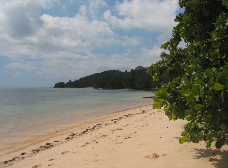 File:Anse Aux Pins Mahe 004.jpg
