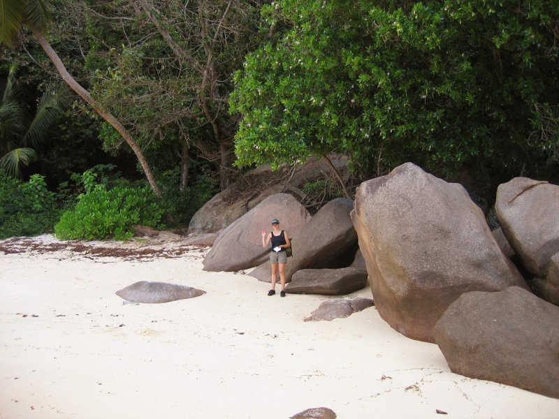 File:Anse Baleine Mahe 003.jpg