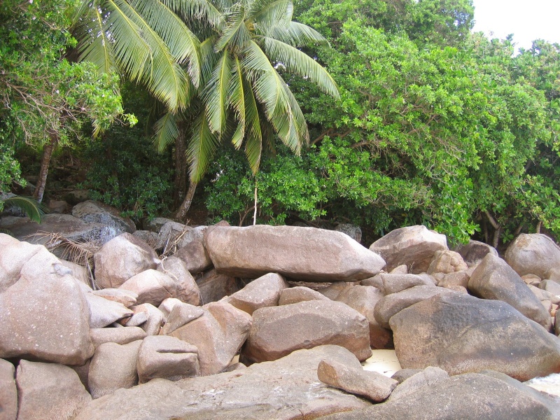 File:Anse Baleine Mahe 004.jpg