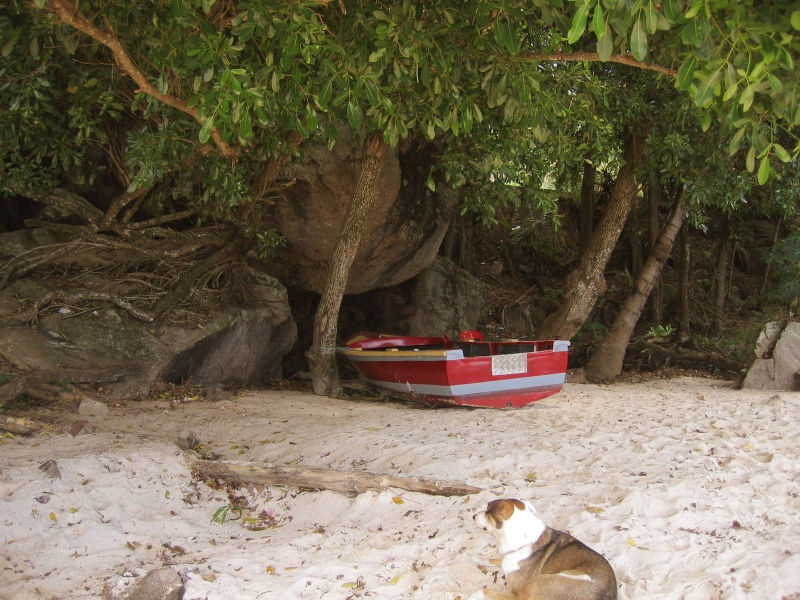 File:Anse Baleine Mahe 005.jpg