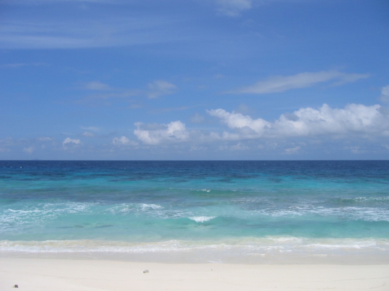 File:Anse Bambous Fregate 006.jpg