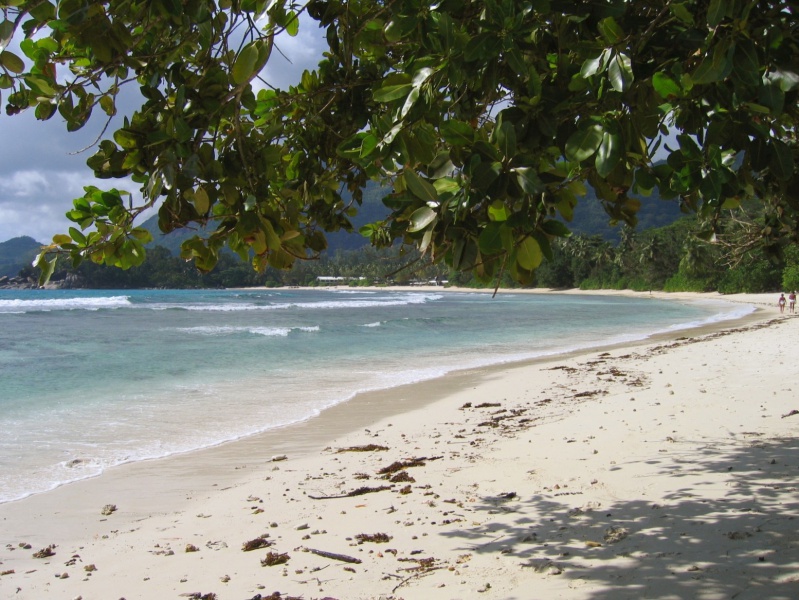 File:Anse Barbarons Mahe 004.jpg