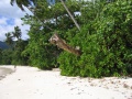 Anse Barbarons Mahe 005.jpg