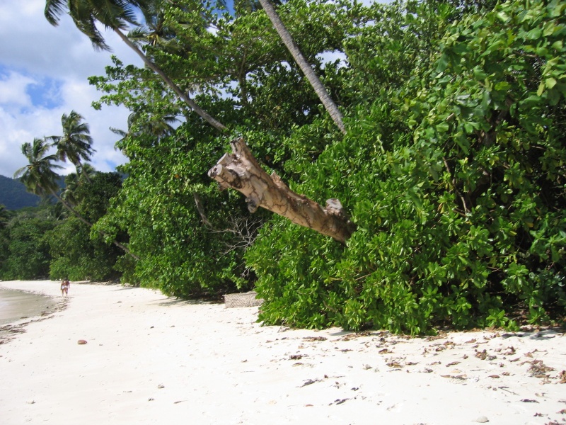 File:Anse Barbarons Mahe 005.jpg