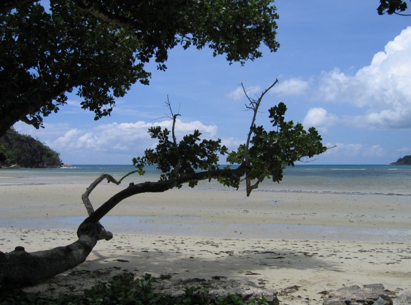 File:Anse Boileau Mahe 003.jpg