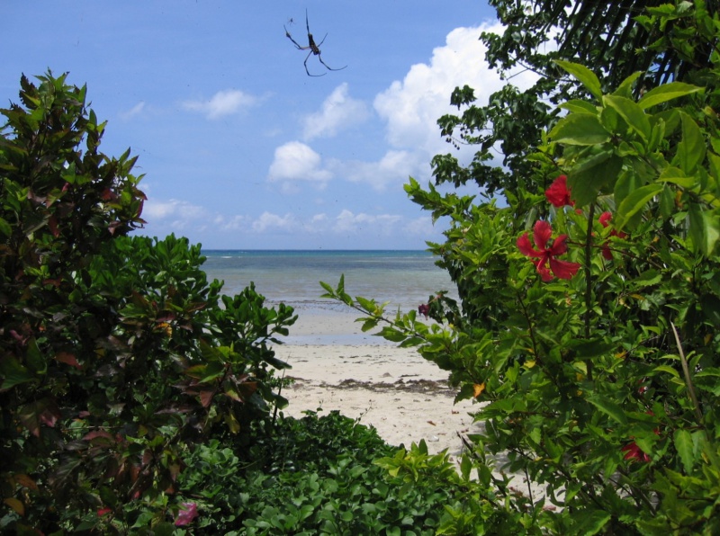 File:Anse Boileau Mahe 004.jpg