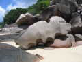 Anse Bois de Rose Praslin 009.jpg
