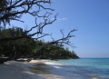 Anse Boudin Praslin 004.jpg