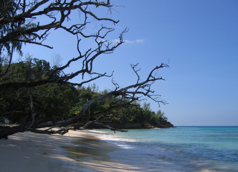 File:Anse Boudin Praslin 004.jpg