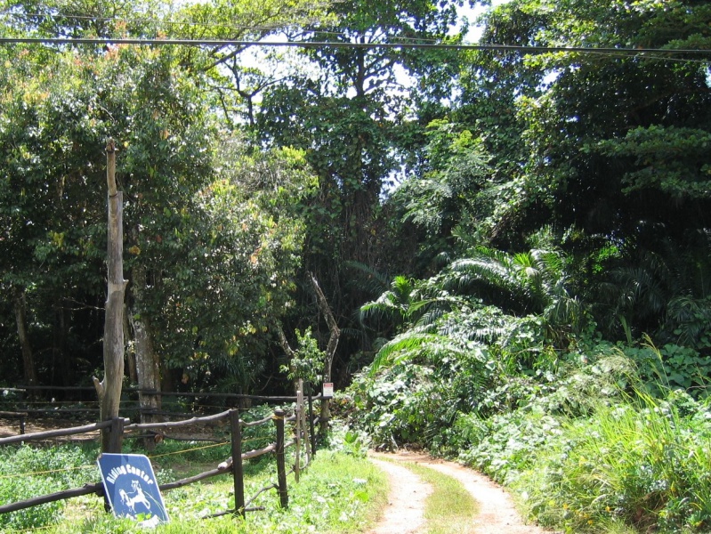 File:Anse Cimitiere Mahe 007.jpg