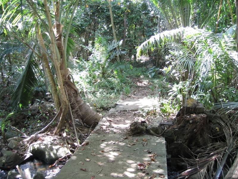 File:Anse Cimitiere Mahe 012.jpg