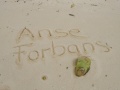 Anse Forbans Mahe 001.jpg