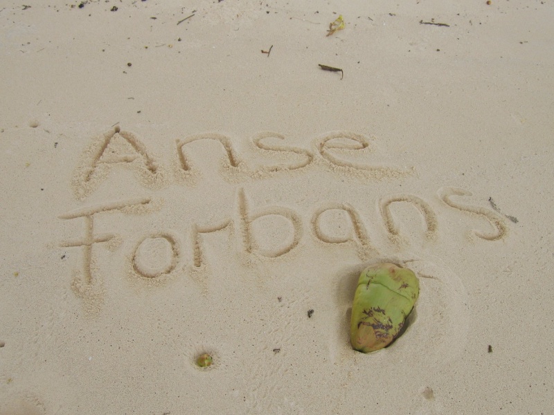 File:Anse Forbans Mahe 001.jpg