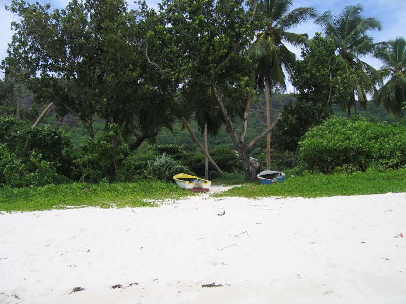 File:Anse Gaullette Mahe 002.jpg