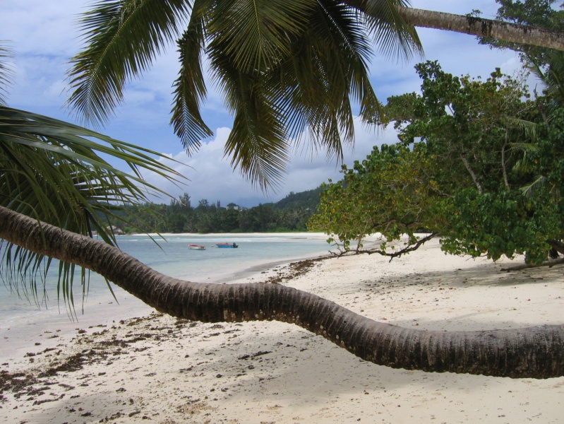 File:Anse Gaullette Mahe 004.jpg