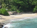 Anse Major Mahe 018.jpg
