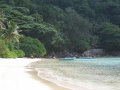Anse Marie-Louise Praslin 004.jpg