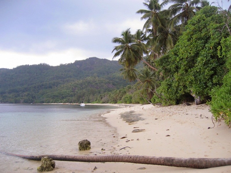 File:Anse Marie Louise Mahe 001.jpg