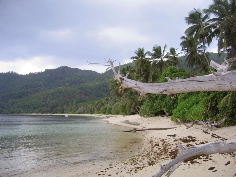 File:Anse Marie Louise Mahe 002.jpg
