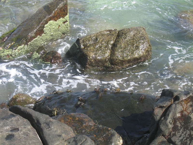 File:Anse Park Fregate 004.jpg