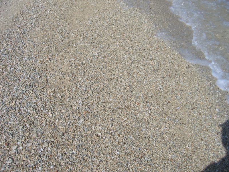 File:Anse Park Fregate 006.jpg