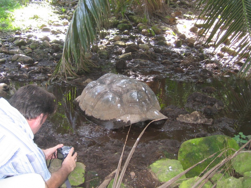 File:Anse Park Fregate 011.jpg
