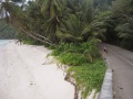 Anse Parnel Mahe Mahe 001.jpg