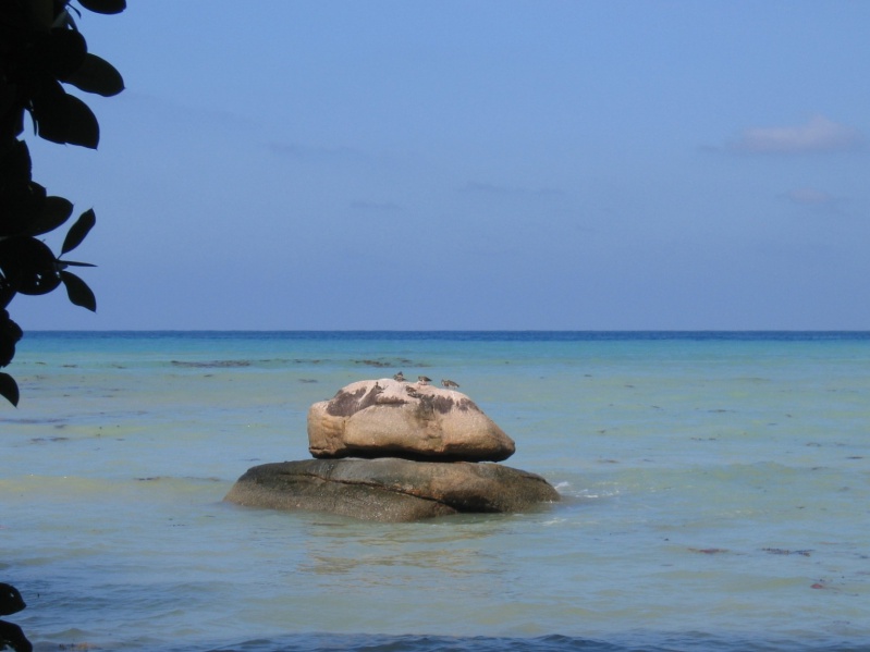 File:Anse Possession Praslin 009.jpg