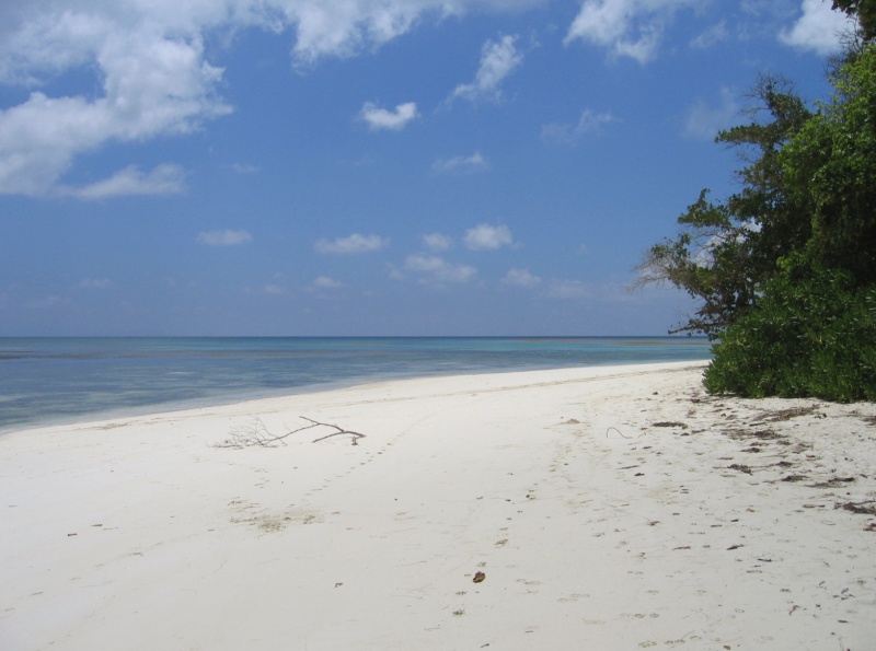 File:Anse Sauveur Praslin 002.jpg
