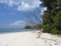 Anse Sauveur Praslin 003.jpg