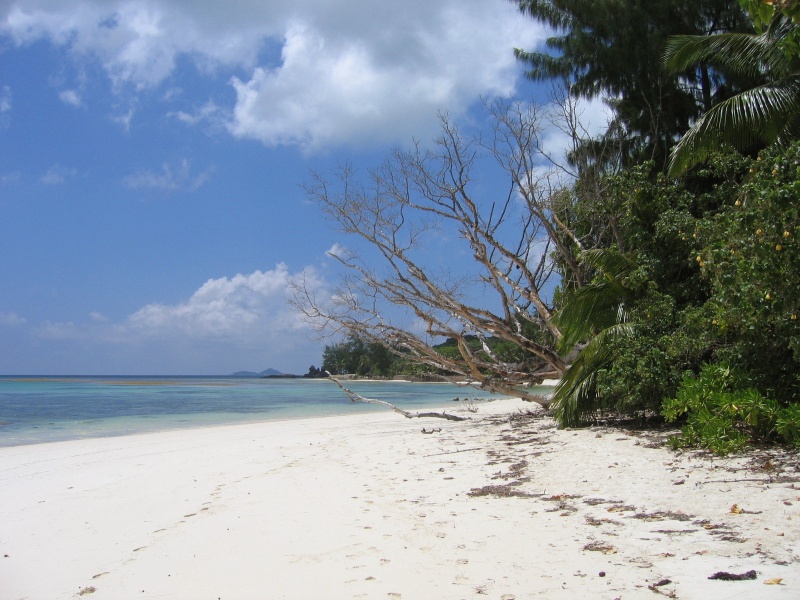 File:Anse Sauveur Praslin 003.jpg