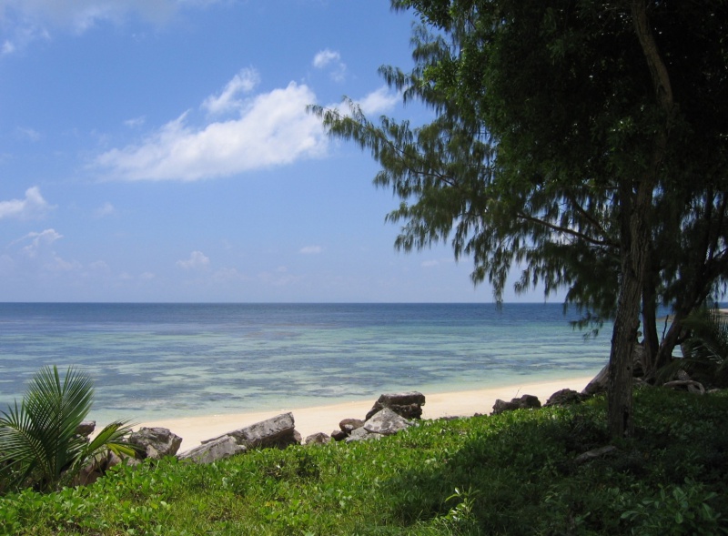 File:Anse Sauveur Praslin 006.jpg