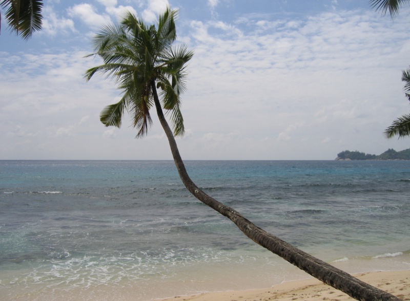 File:Anse Takamaka Mahe 005.jpg