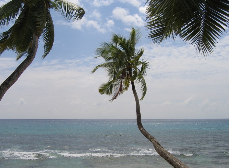 File:Anse Takamaka Mahe 006.jpg