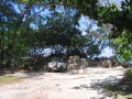 Anse Takamaka Praslin 007.jpg