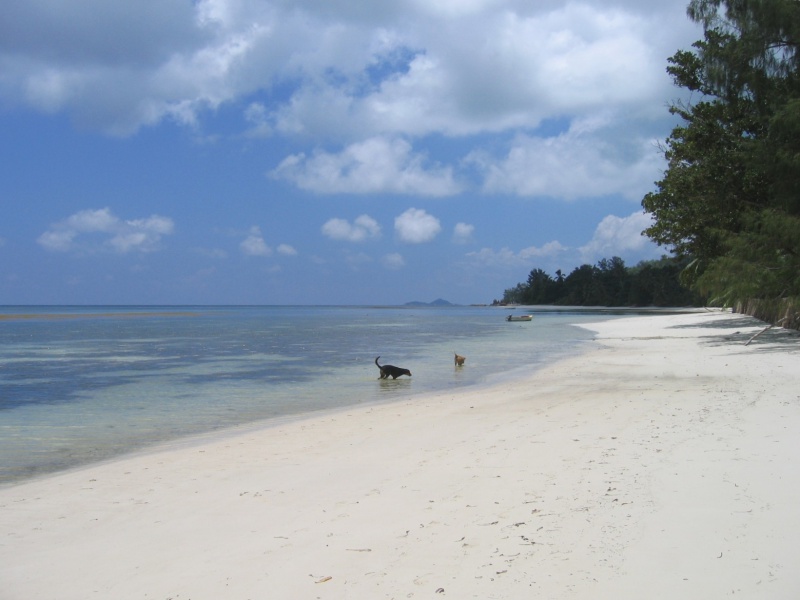 File:Anse Takamaka South Praslin 005.jpg