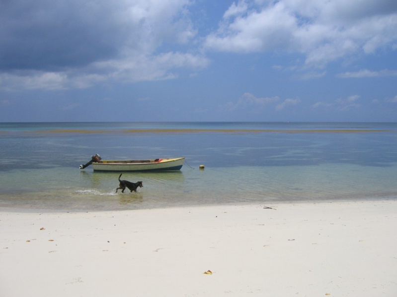 File:Anse Takamaka South Praslin 006.jpg