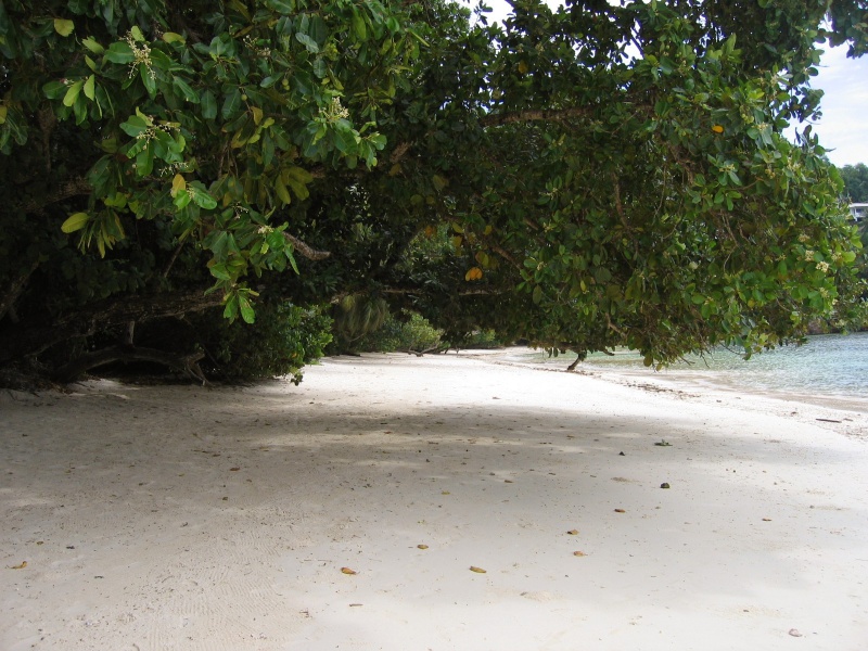 File:Anse Val Mer Mahe 002.jpg
