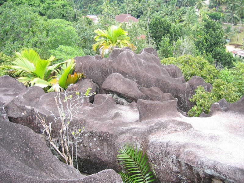 File:Anse Val Mer Mahe 005.jpg