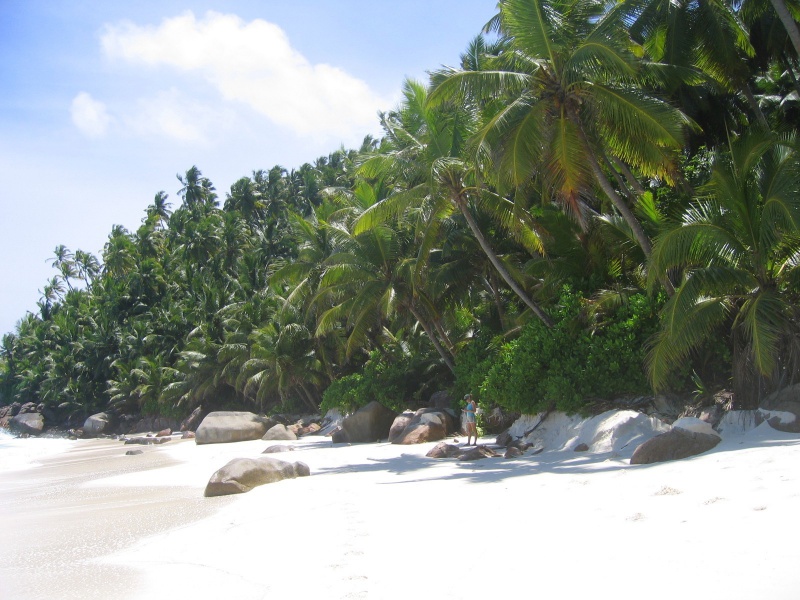 File:Anse Victorin Fregate 003.jpg