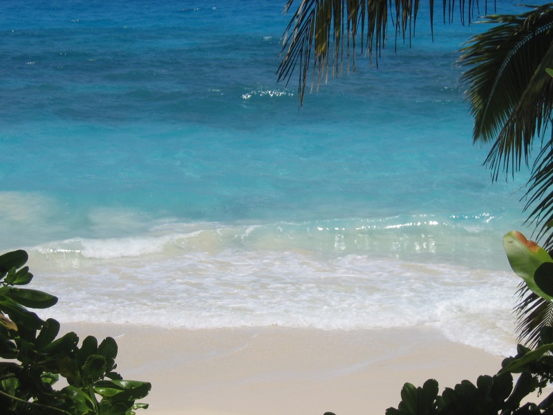 File:Anse Victorin Fregate 006.jpg