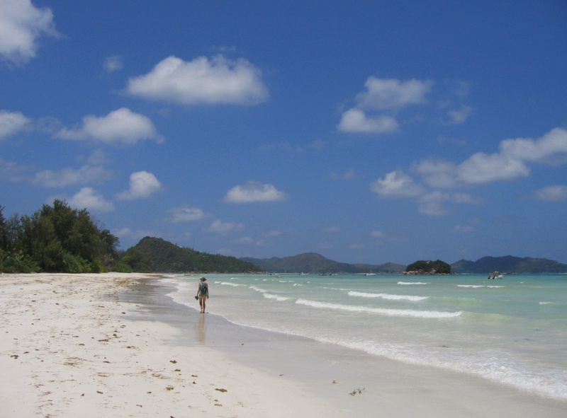 File:Anse Volbert Praslin 005.jpg