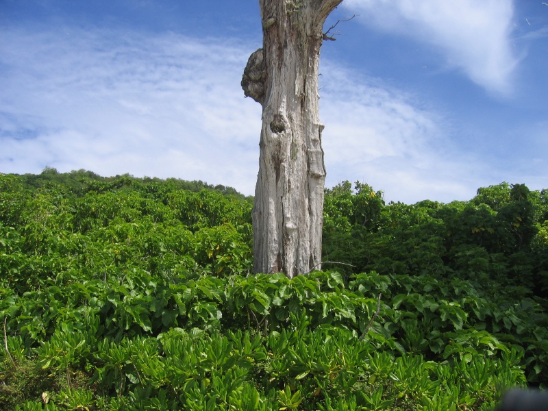 File:Aride Island 003.jpg