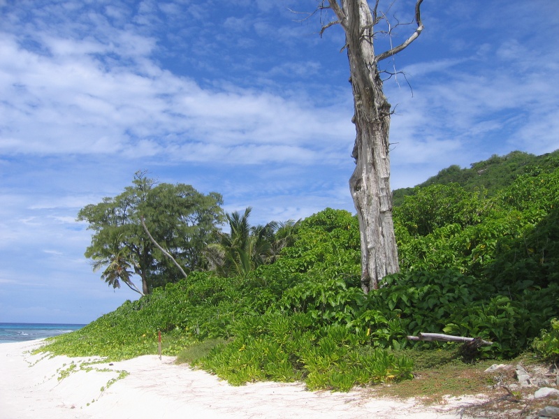 File:Aride Island 009.jpg