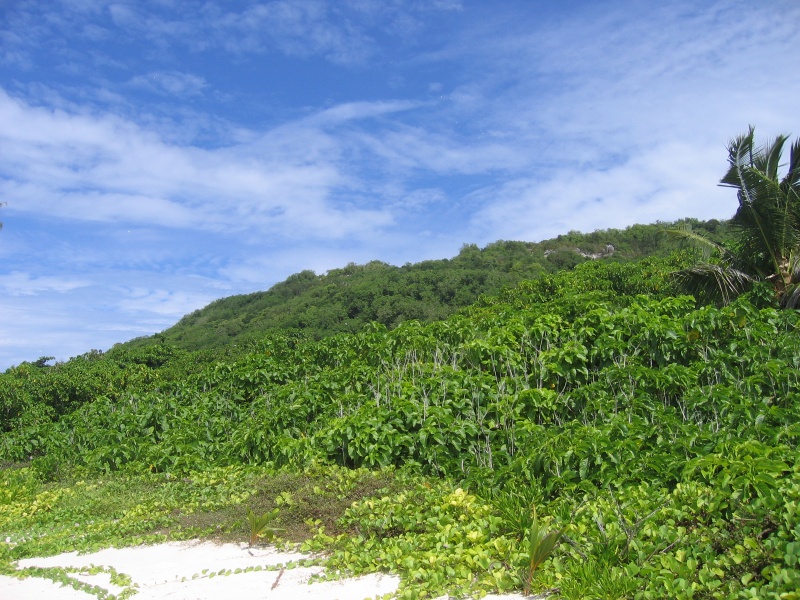 File:Aride Island 011.jpg
