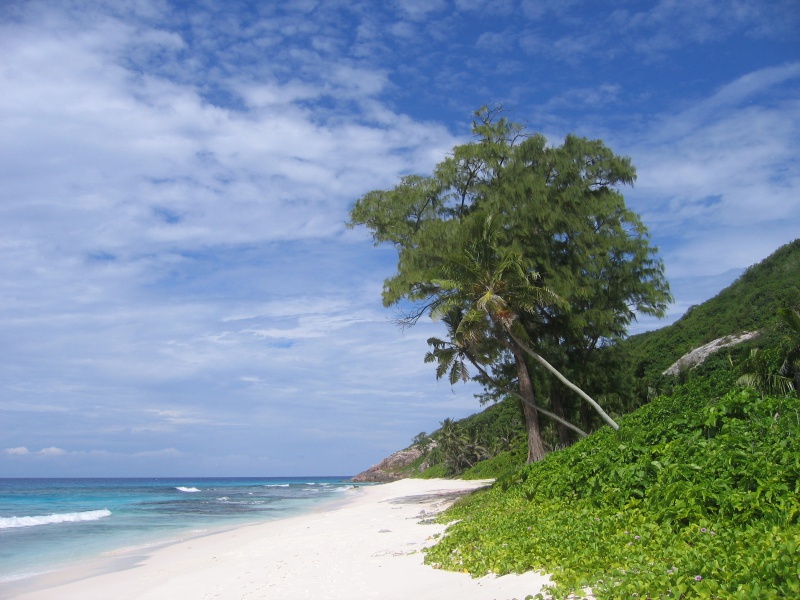 File:Aride Island 013.jpg
