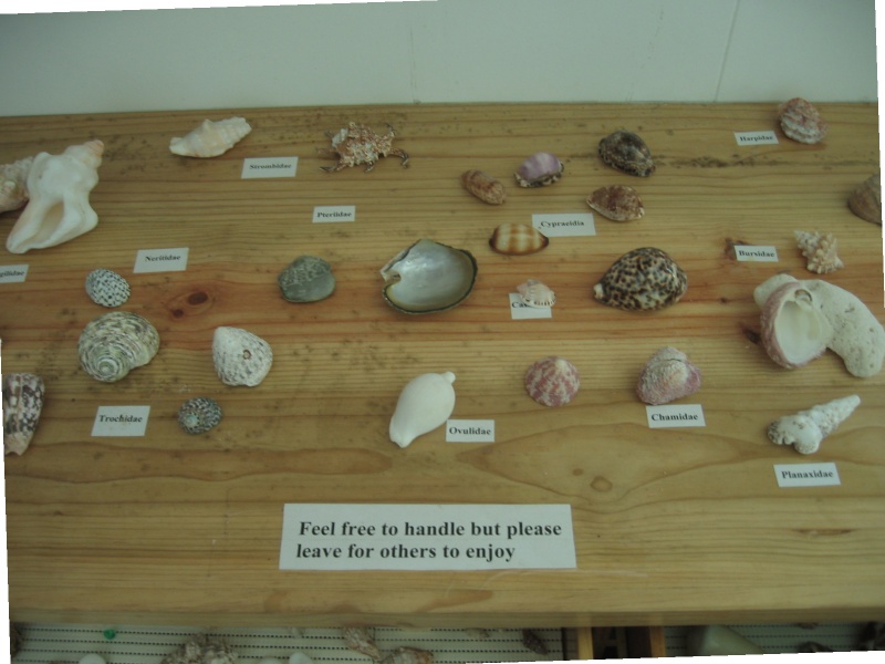 File:Aride Island 039.jpg