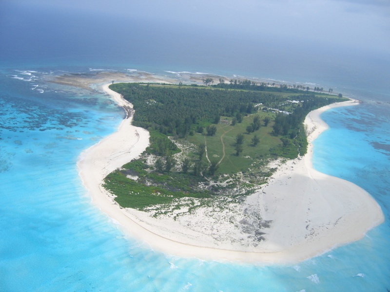 File:Bird Island 001.jpg